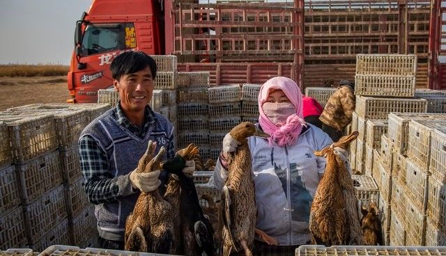 我离异后,对门的女人总找我修东西,她丈夫的眼神越来越不对劲