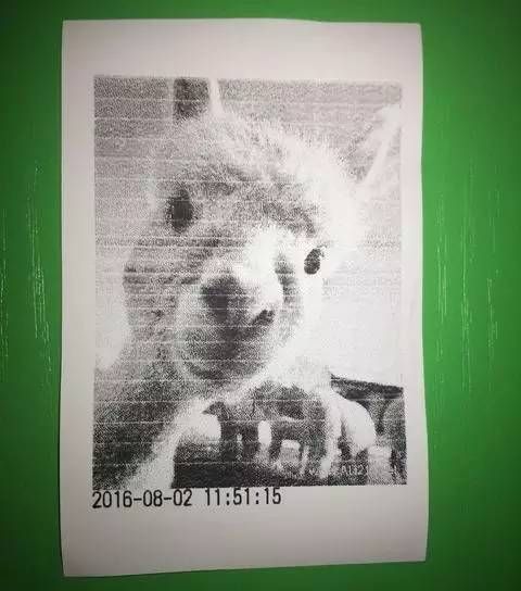 这个拍立得很特别,小票纸都能当相纸用?