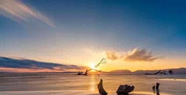 人若愚蠢，一看便知，愚蠢的人，往往有这5个明显特征