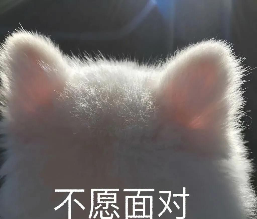 那些A站、B站、C站、D站、H站、P站都是什么网站?