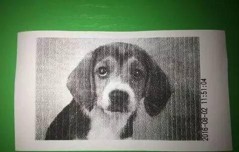 这个拍立得很特别,小票纸都能当相纸用?