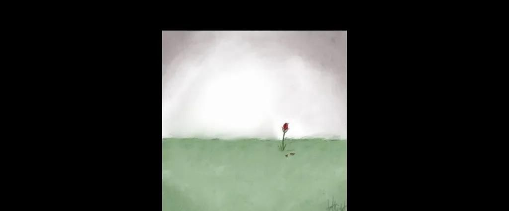 那些A站、B站、C站、D站……P站都是什么网站?