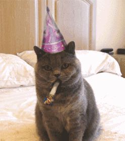 AlphaGo Zero你也能造一个,PyTorch实现五脏俱全|附代码