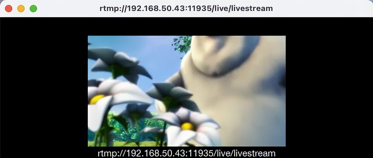 Java实战音视频领域:JavaCV推流(MP4文件)