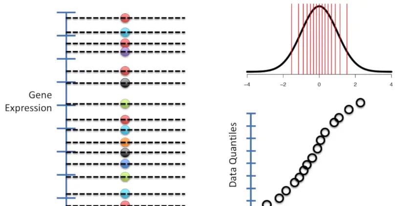 33统计基础- 分位数-分位数图