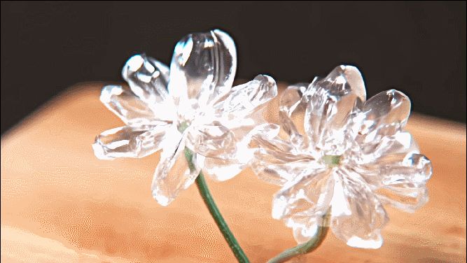 智谱AI清影实测:6秒视频排队2分钟,猫猫很可爱,人手很翻车