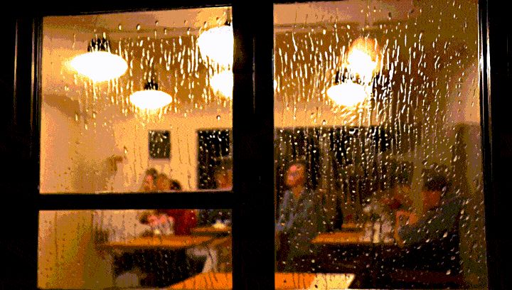 智谱AI清影实测:6秒视频排队2分钟,猫猫很可爱,人手很翻车