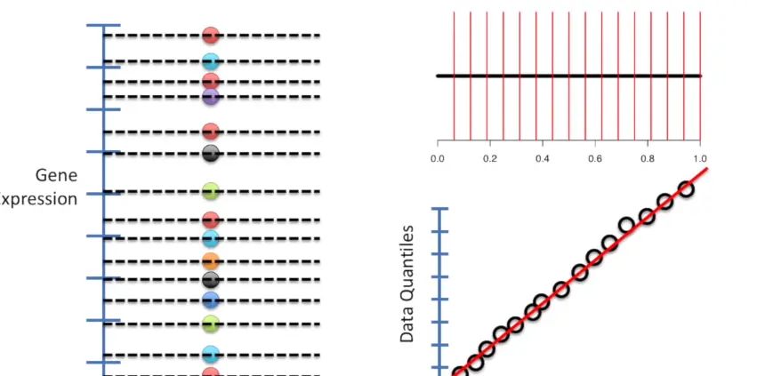 33统计基础- 分位数-分位数图