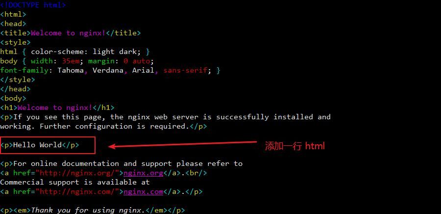 使用Docker安装并启动nginx