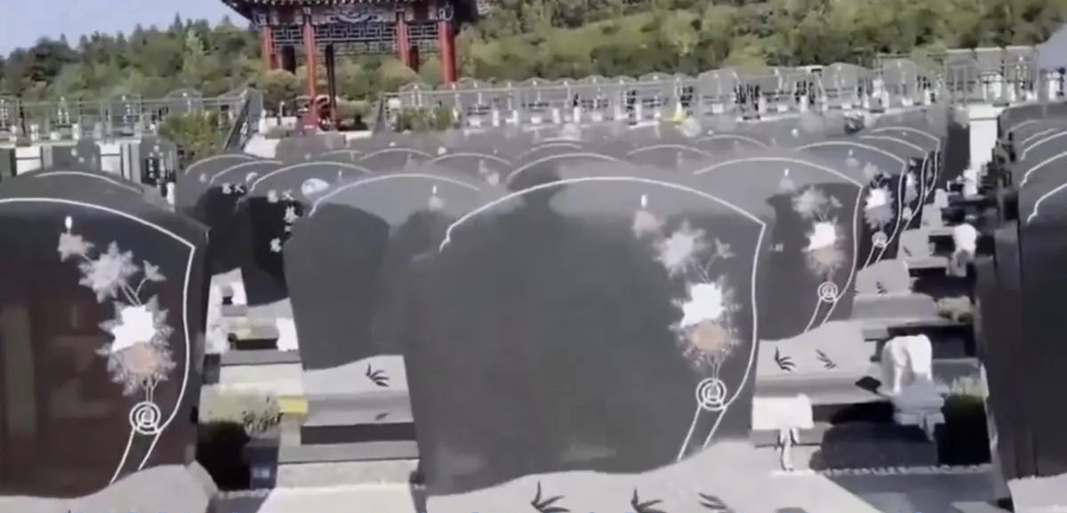 崂山版《挖呀挖》火爆出圈