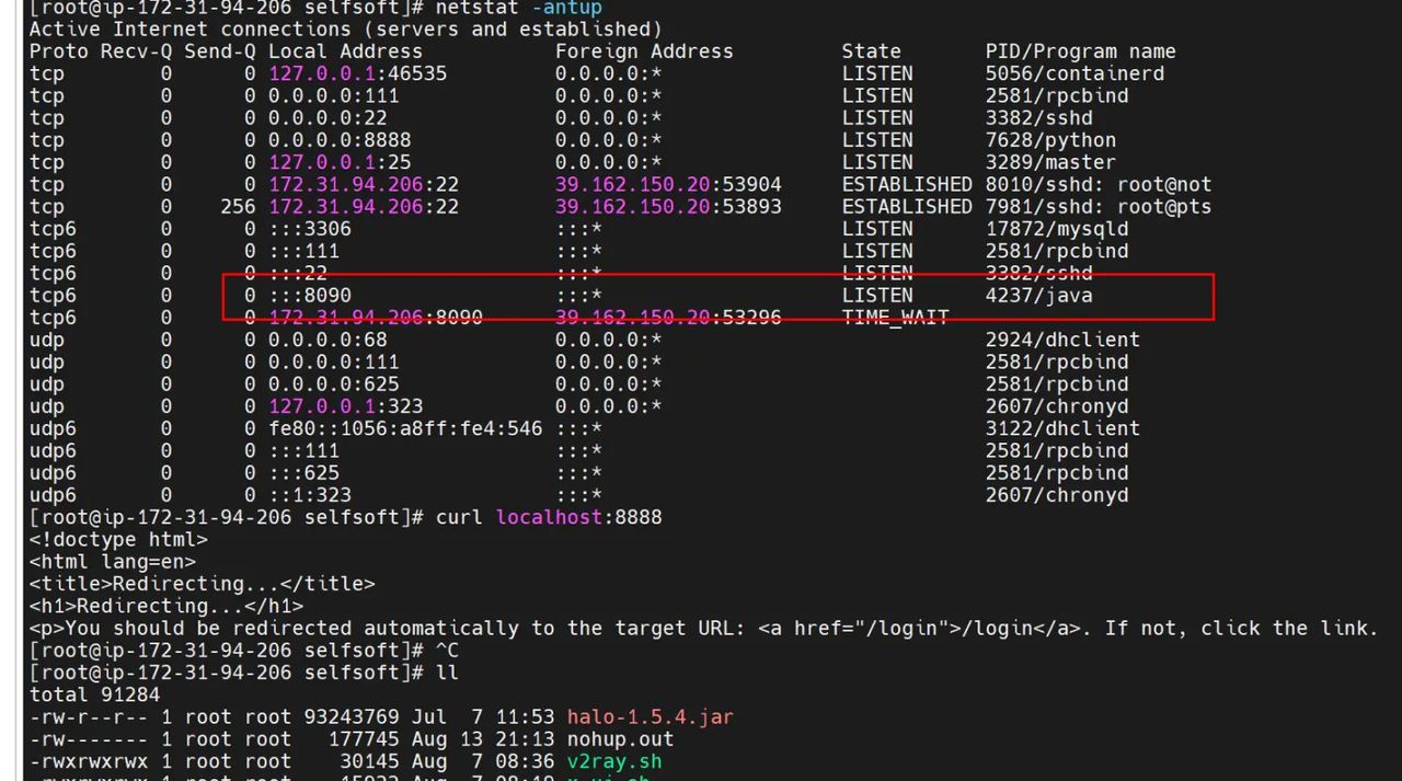 halo登录密码重置(重置密码后删除application.yml )