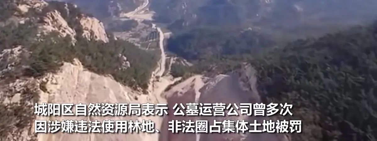 崂山版《挖呀挖》火爆出圈