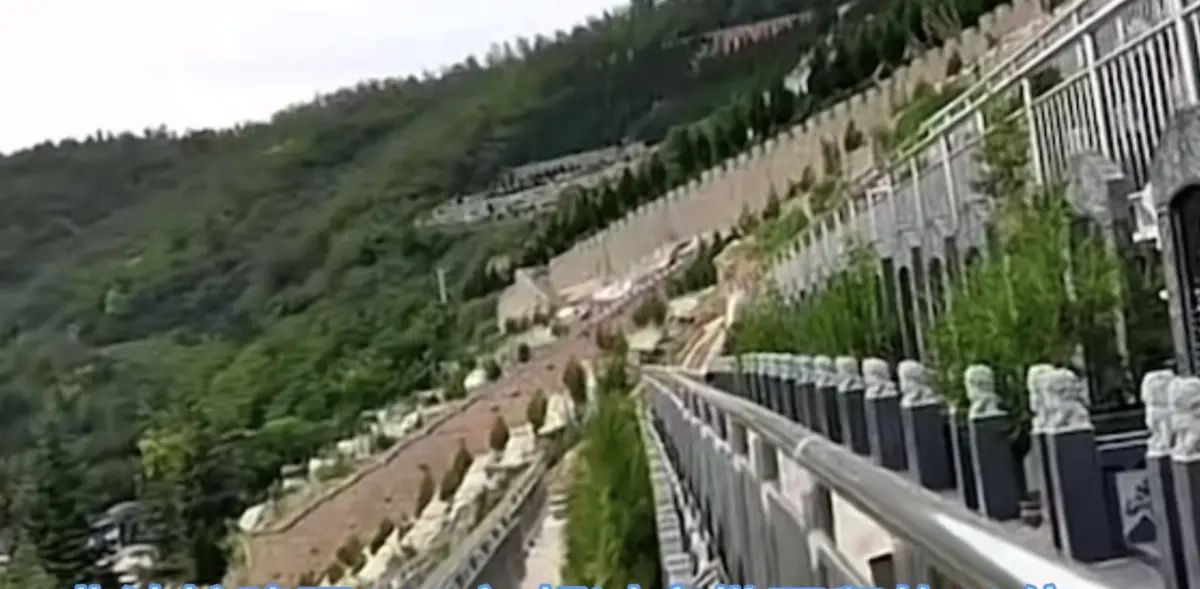 崂山版《挖呀挖》火爆出圈