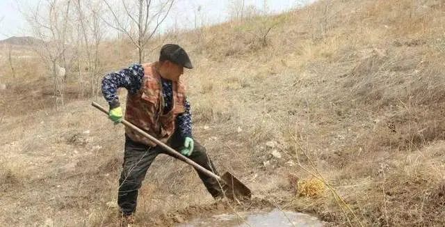 重庆70岁老人一夜暴富：受仙人托梦，在家中挖16米深坑，挖出神秘“阴河鱼”