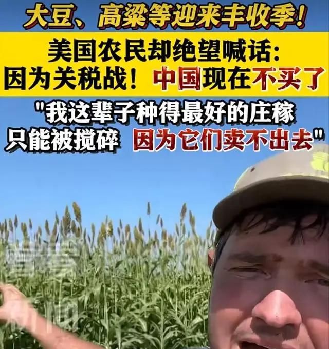中国挖了个超级巨坑! 美国要气疯: 中国不买大豆, 多国跟进不买了