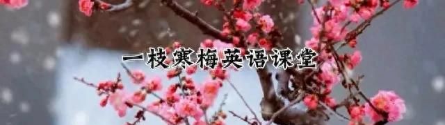 1600个中考必考核心词汇（F）