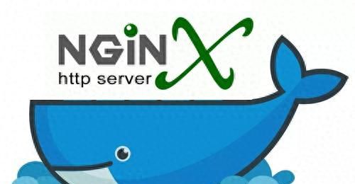 Docker实战008：docker部署nginx项目详解