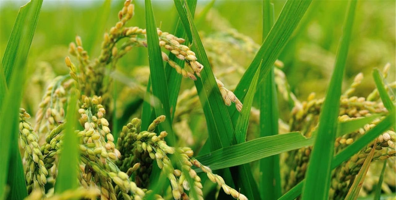 千古一皇(一百五十七)