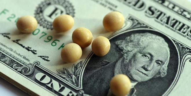 中国挖了个超级巨坑! 美国要气疯: 中国不买大豆, 多国跟进不买了