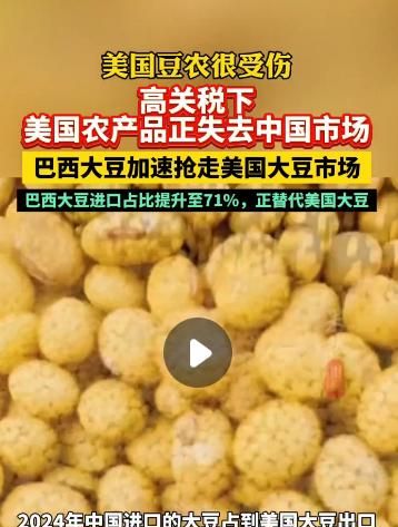 中国挖了个超级巨坑! 美国要气疯: 中国不买大豆, 多国跟进不买了