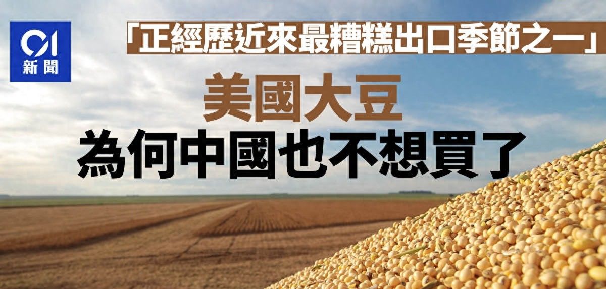 中国挖了个超级巨坑! 美国要气疯: 中国不买大豆, 多国跟进不买了