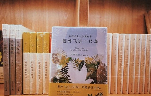 出书不懂书号？4 种核心类型全解析，避开 90% 的出版坑