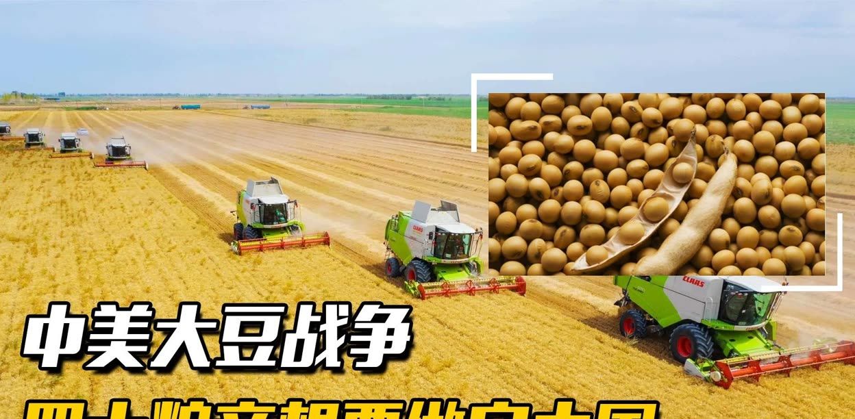 中国挖了个超级巨坑! 美国要气疯: 中国不买大豆, 多国跟进不买了