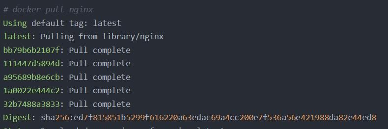 Docker实战008:docker部署nginx项目详解