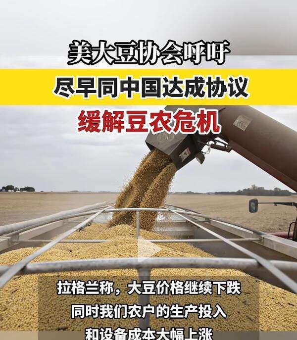 中国挖了个超级巨坑! 美国要气疯: 中国不买大豆, 多国跟进不买了