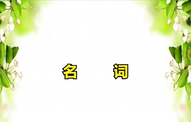 2021年中考英语专题复习之名词