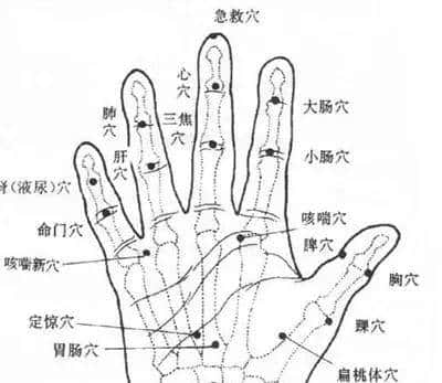 手写复杂公式和流程图的神站,从此告别MathType和Visio