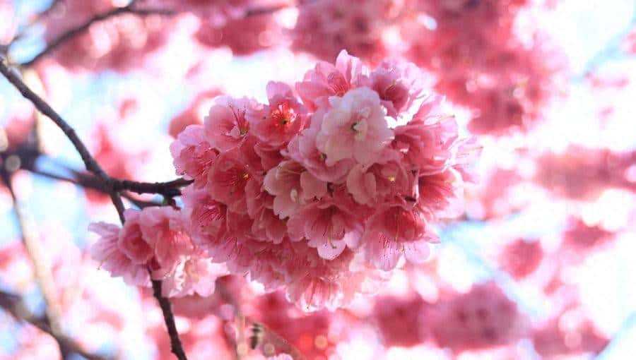 关于catch的短语，你知道多少？