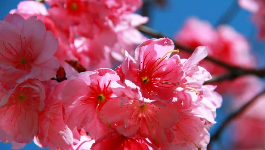 关于catch的短语,你知道多少?