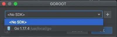 "The selected directory is not a valid home for Go Sdk"处理