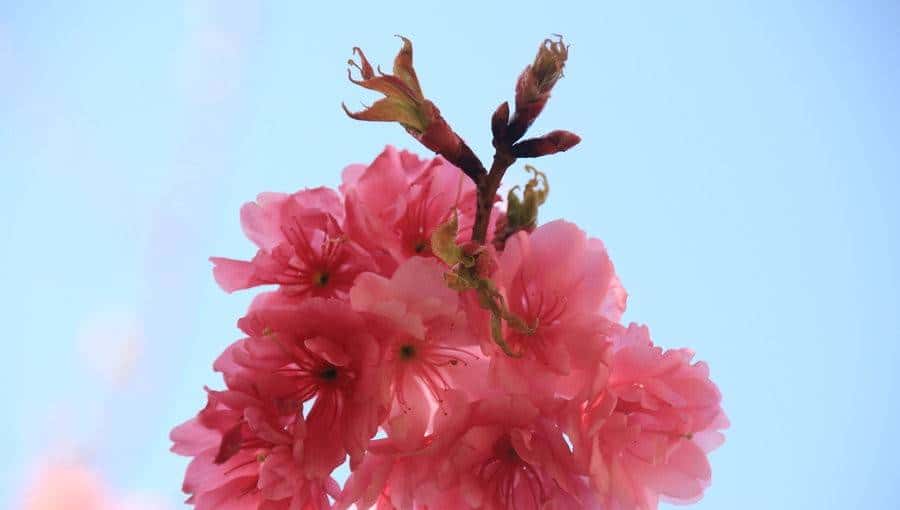 关于catch的短语,你知道多少?