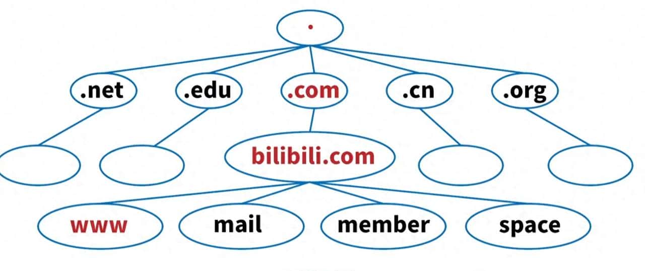 DNS域名解析过程-前端八股文