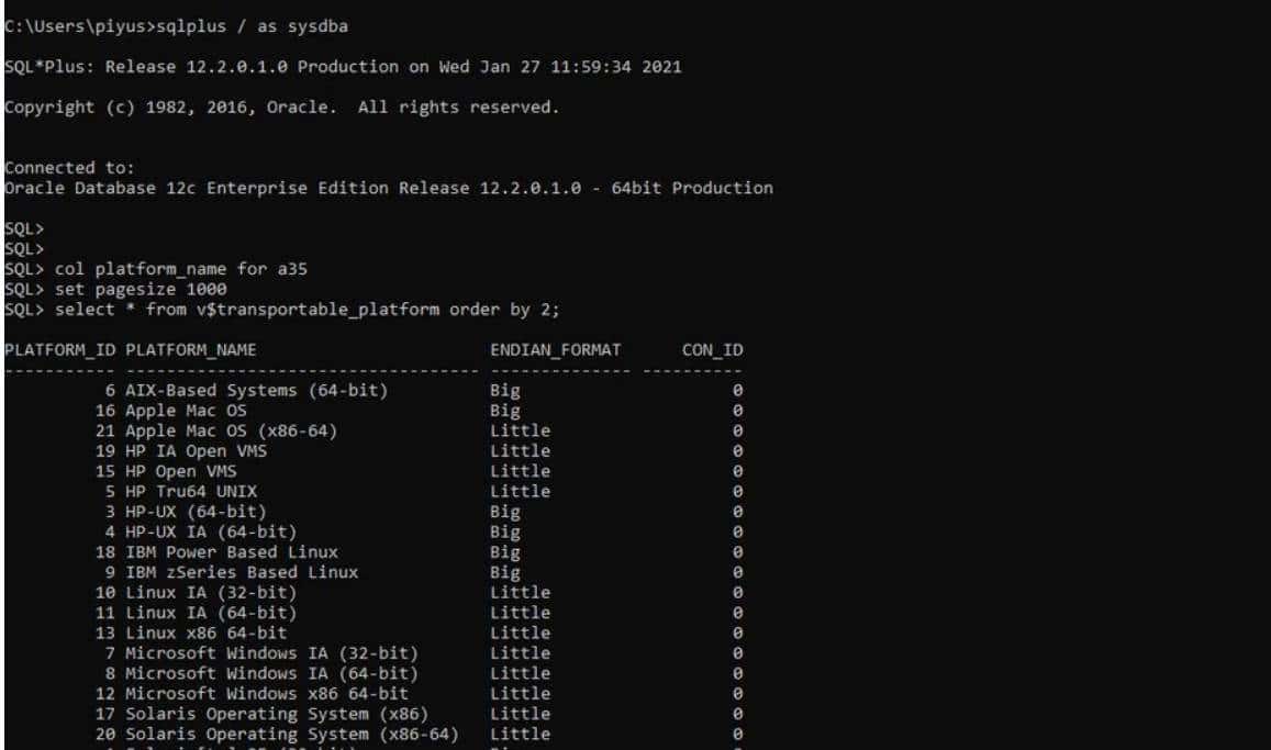使用 convert database 命令进行 RMAN 跨平台迁移(12C至19C)