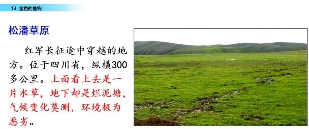 部编六年级语文下册第13课《金色的鱼钩》知识点及课堂测试题