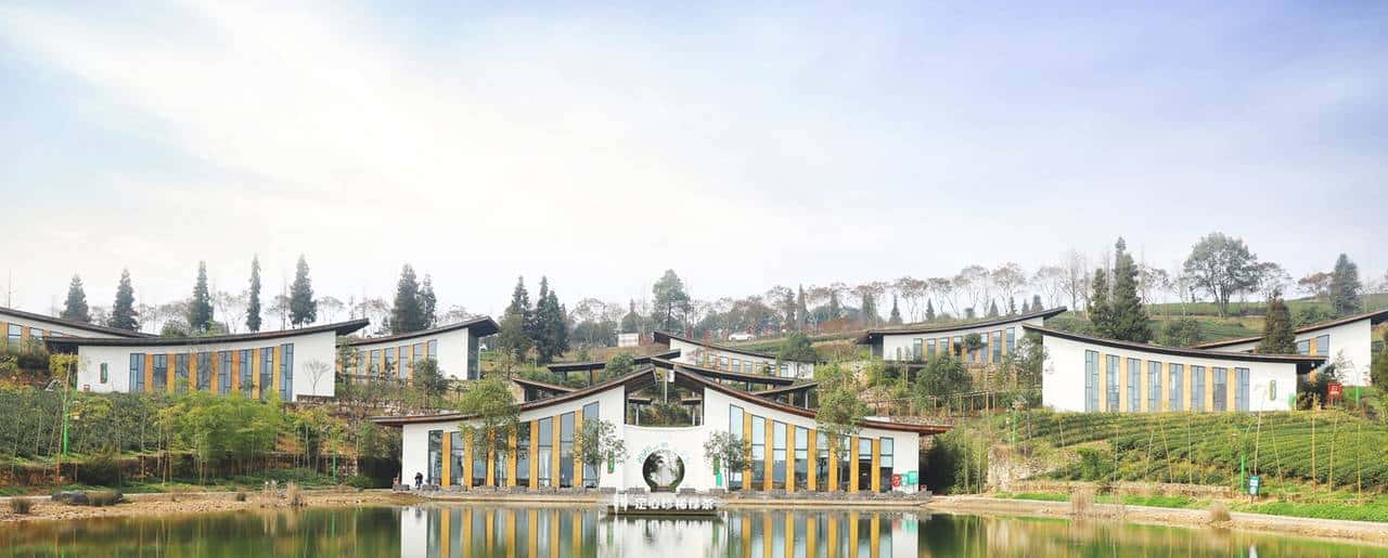 重庆茶叶集团举行第九届茶农分红大会