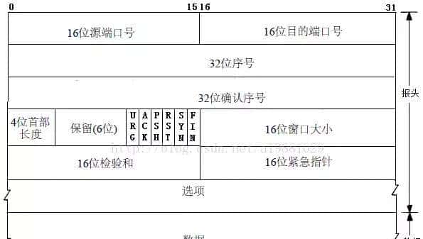 前端基础:从输入URL到看到页面发生了什么?详细描述整个过程