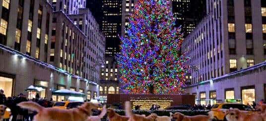 Sora正式上线!最长20秒、不止文生视频