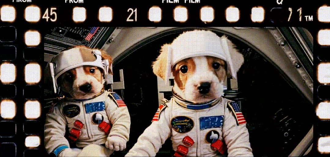 Sora正式上线！最长20秒、不止文生视频