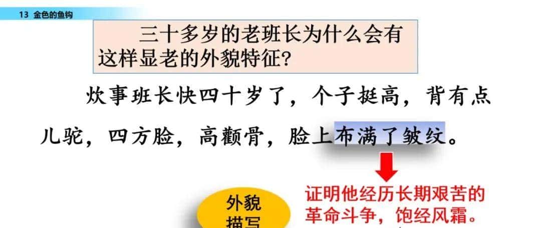部编六年级语文下册第13课《金色的鱼钩》知识点及课堂测试题