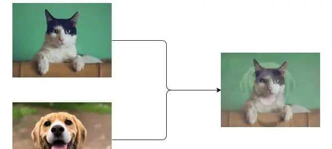 few-shot:Charting the Right Manifold: Manifold Mixup for Few-shot Learning论文阅读