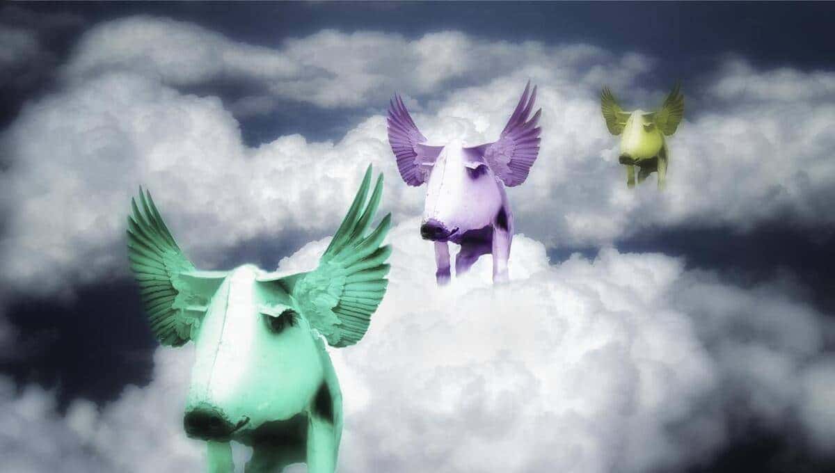 论天涯社区的倒掉