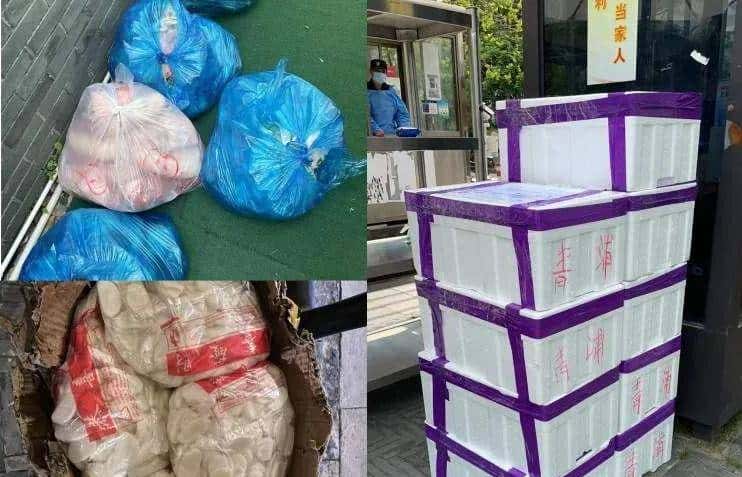 沉迷游戏,垫底逆袭,17岁少年垫钱帮人团蔬菜,成上海最年轻团长