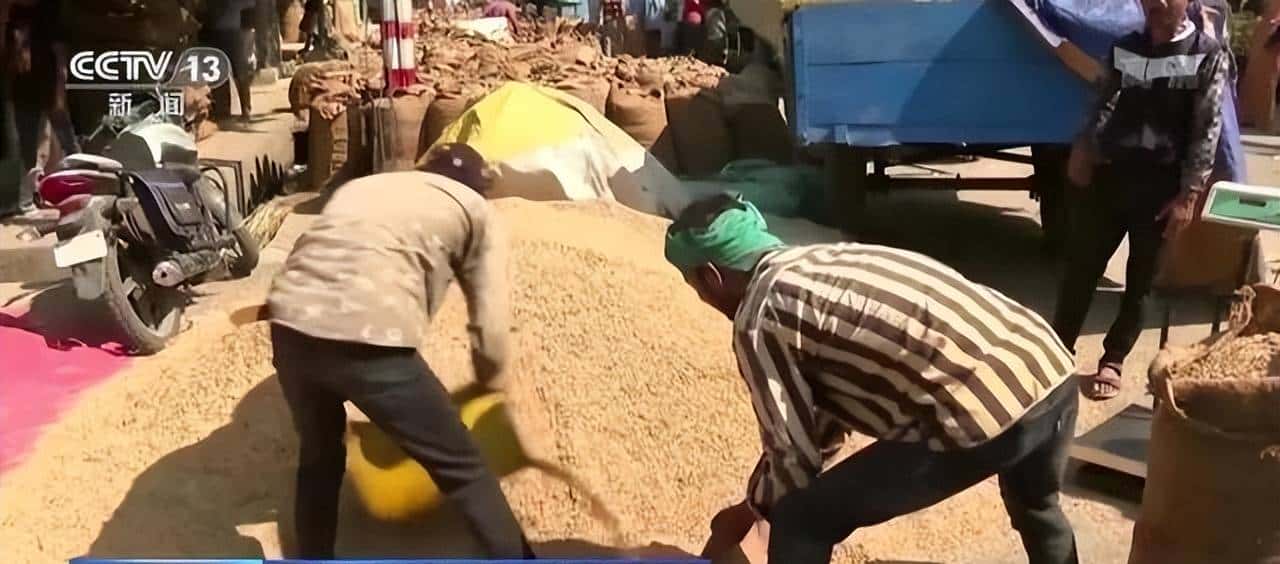 从乌克兰看中国，泽连斯基这一手，才知道毛主席太高明了！