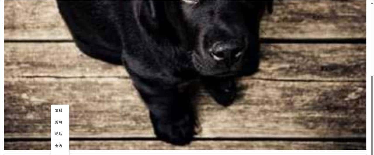 Python Web 应用开发:NiceGUI 页面布局详解