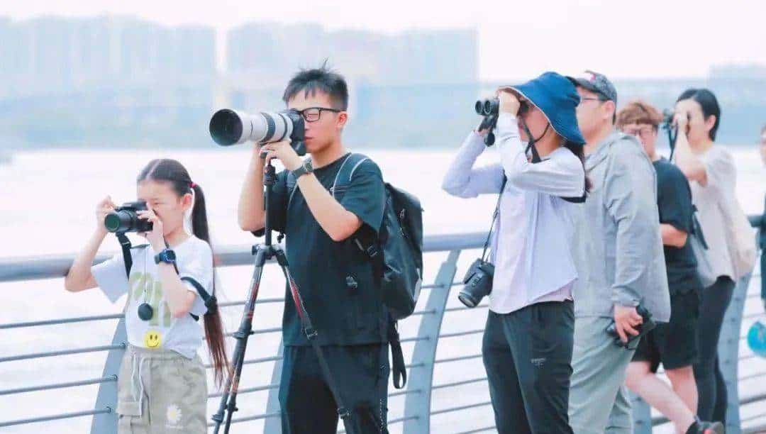 沉迷游戏,垫底逆袭,17岁少年垫钱帮人团蔬菜,成上海最年轻团长