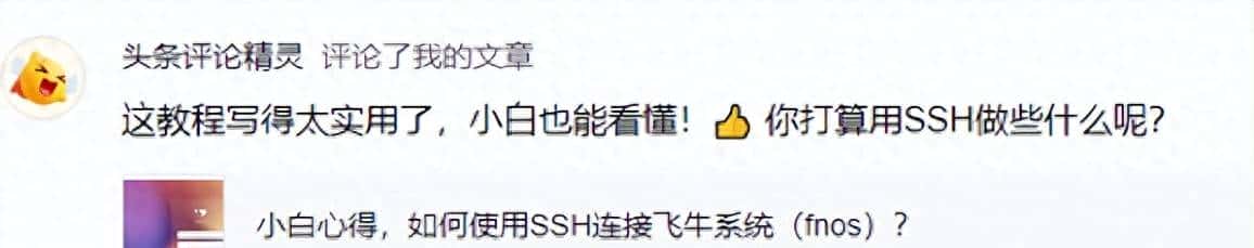 什么是SSH？主要可以做些什么呢？学习到了一些常用的命令